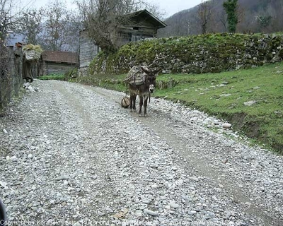 Tam boy resmi görebilmek için tıklayın