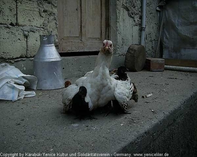 Tam boy resmi görebilmek için tıklayın