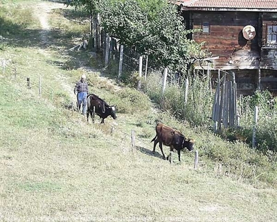 Tam boy resmi görebilmek için tıklayın