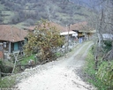 yortan_album_Karabuk_yenice_abdullahoglu_0020.jpg