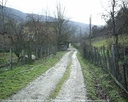yortan_album_Karabuk_yenice_bagbasidabazlar_0032.jpg