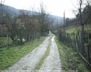 yortan_album_Karabuk_yenice_bagbasidabazlar_0032.jpg