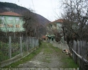 yortan_album_Karabuk_yenice_bagbasisoftaoglu_0013.jpg