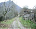 yortan_album_Karabuk_yenice_hisarmurderoglu_0004.jpg