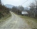 yortan_album_Karabuk_yenice_ibricakduz_0006.jpg