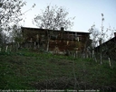 yortan_album_Karabuk_yenice_nodullar_0009.jpg