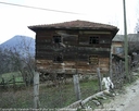 yortan_album_Karabuk_yenice_sirinkoyomarbasioglu_0005.jpg