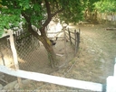 yortan_album_Karabuk_yortanpazaridongeller_0018.jpg